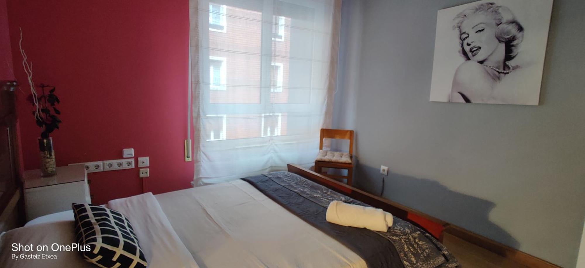 Gasteiz Etxea L Daire Vitoria-Gasteiz Dış mekan fotoğraf
