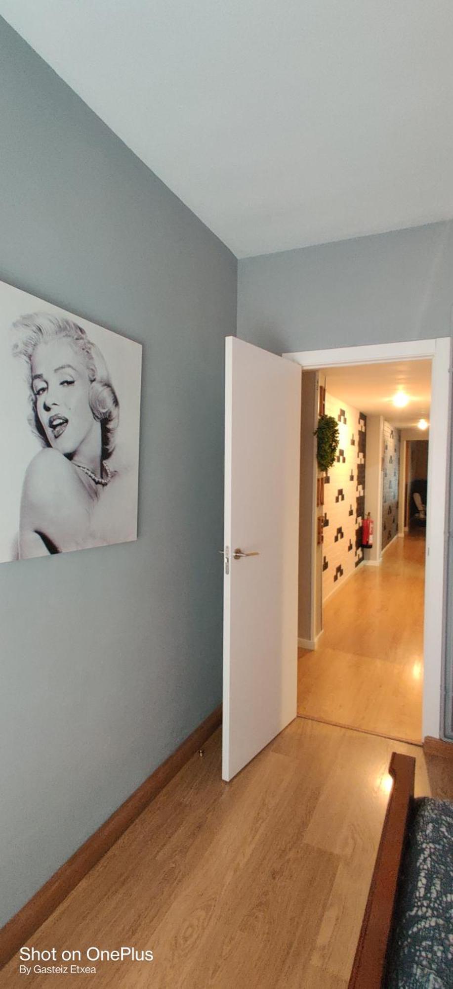 Gasteiz Etxea L Daire Vitoria-Gasteiz Dış mekan fotoğraf