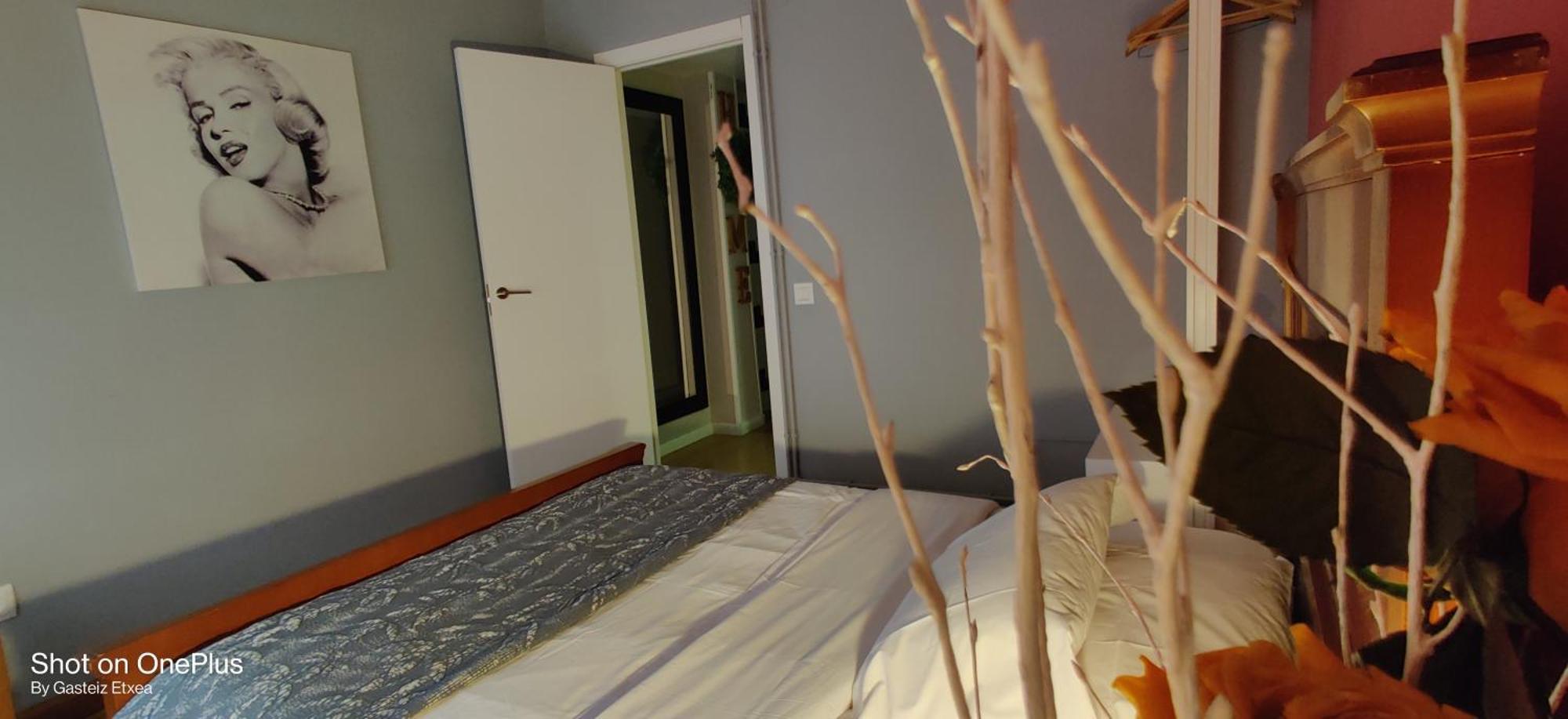 Gasteiz Etxea L Daire Vitoria-Gasteiz Dış mekan fotoğraf